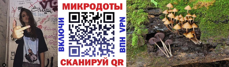 Купить Вязьма Псилоцибиновые грибы Magic Shrooms